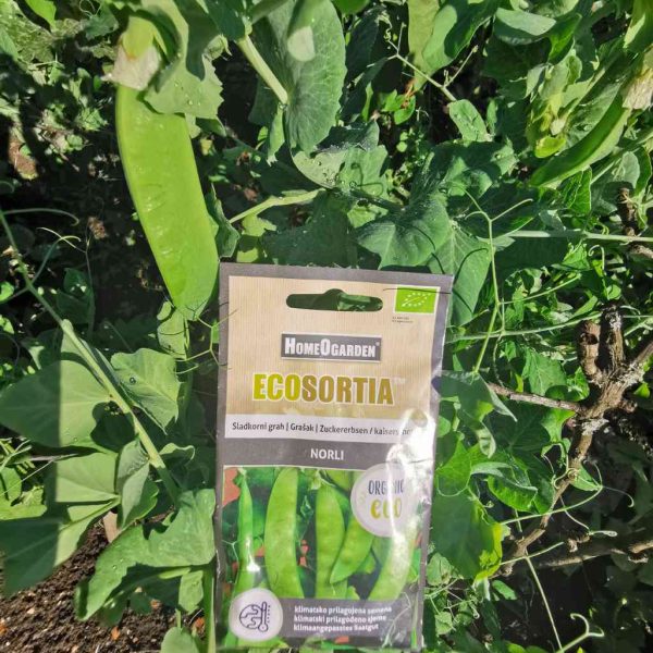 Sladkorni grah Norli