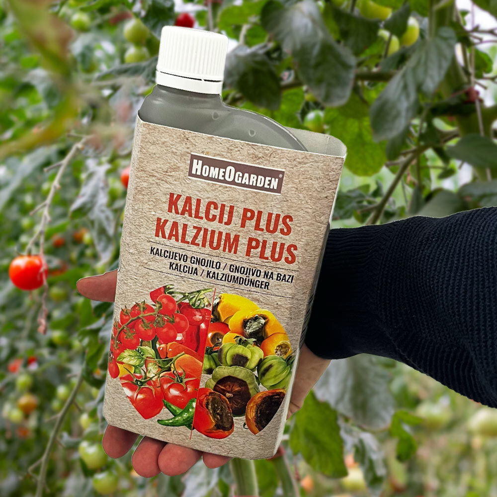 Calcium für Tomaten Schutz gegen Fruchtfäule