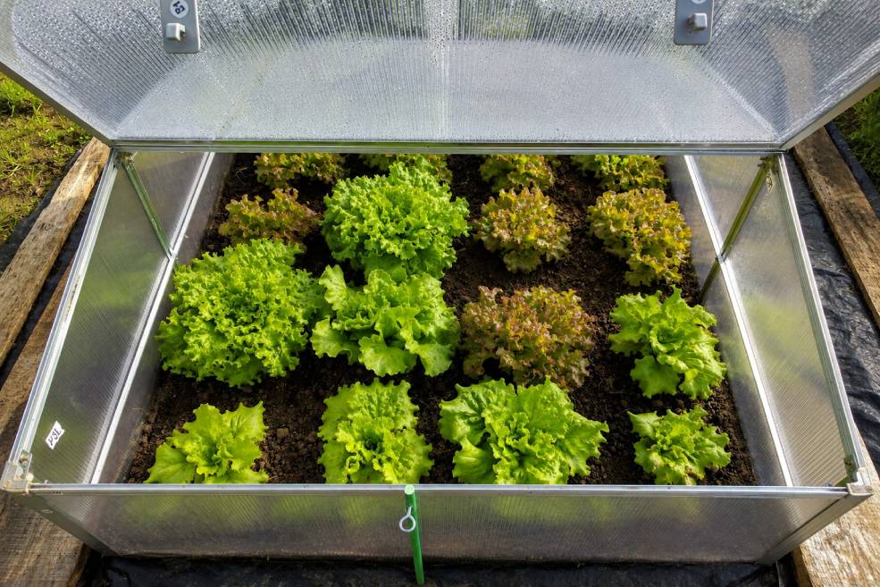 Hochbeet mit Abdeckung